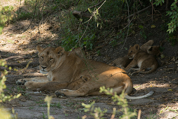 20130916_Kenya_0038