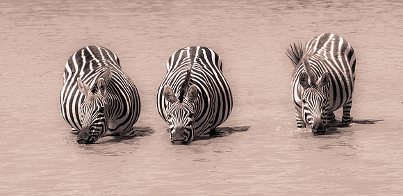 20130919_Kenya_0007