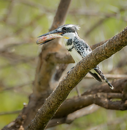 20130912_Kenya_0032