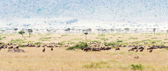 20130919_Kenya_0031