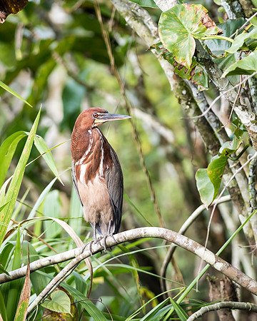 20150115_Ecuador_0003