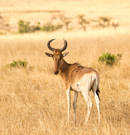 20130916_Kenya_0048