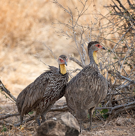 20130908_Kenya_0003-3