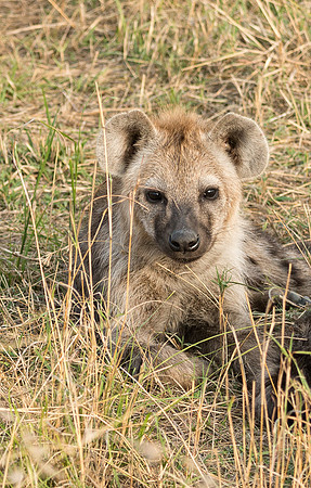 20130915_Kenya_0012