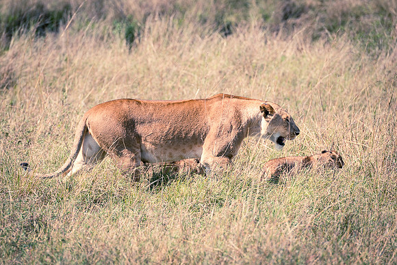 20130916_Kenya_0020