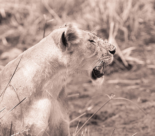 20130919_Kenya_0041