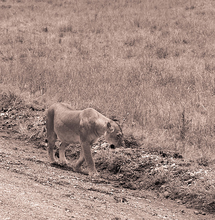 20130919_Kenya_0036