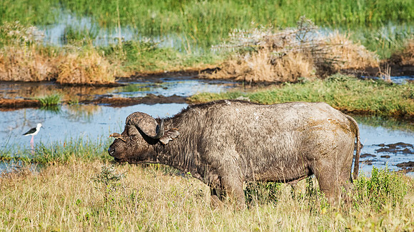 20130911_Kenya_0014