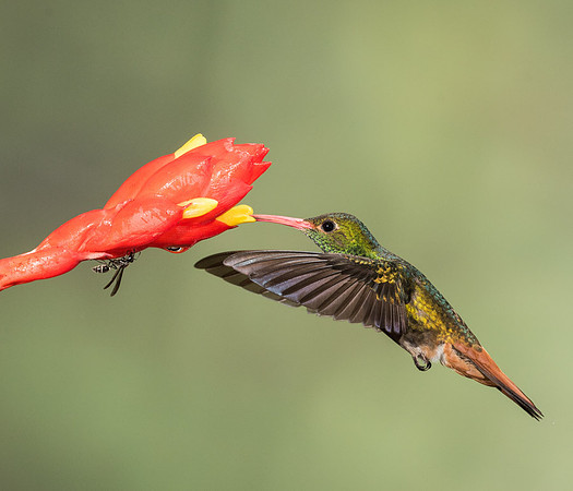 20150106_Ecuador_0001