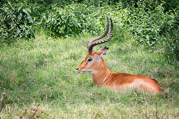 20130911_Kenya_0021