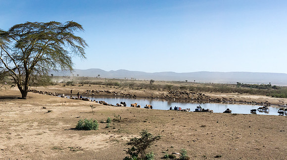 20130913_Kenya_0001
