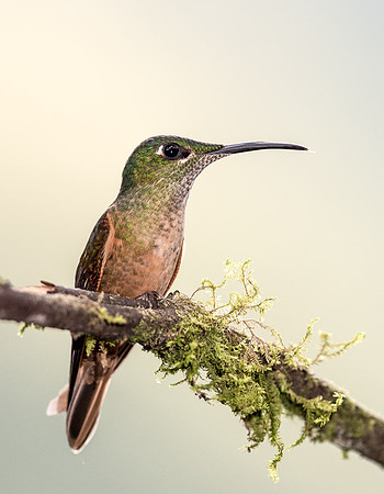 20150105_Ecuador_0001