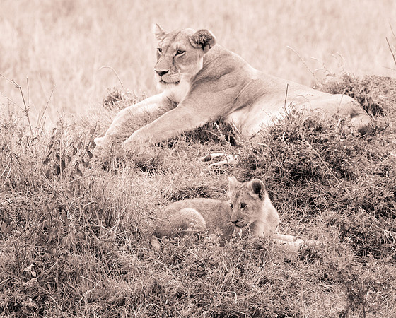 20130919_Kenya_0050