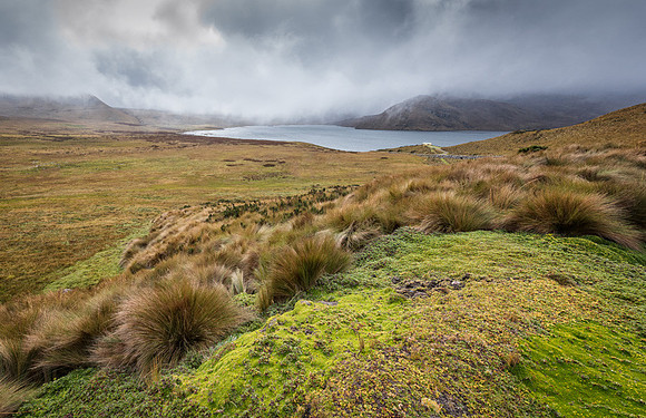20150109_Portfolio Photos_0089