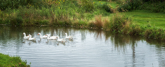 20140818_France_0009