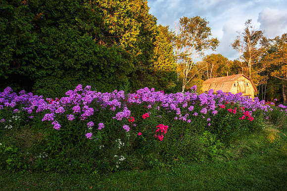 20140820_France_0044
