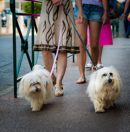 20140624_France_0001