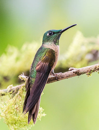 20150107_Ecuador_0001
