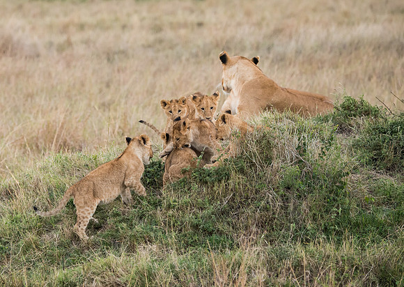 20130919_Kenya_0077