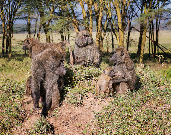 20130911_Kenya_0005