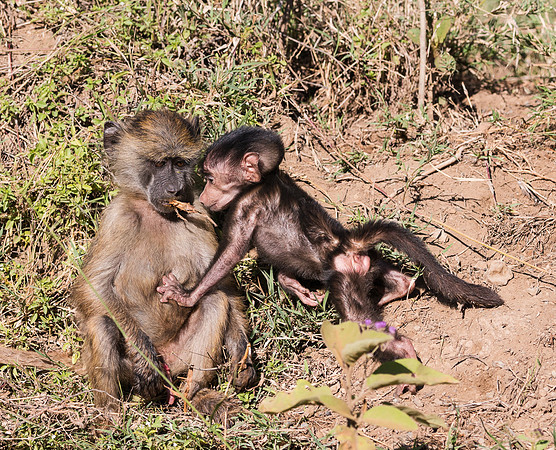 20130911_Kenya_0012