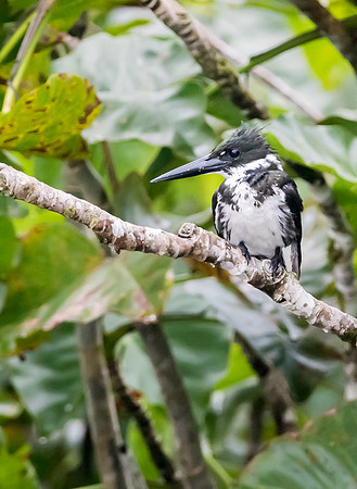 20150116_Ecuador_0008