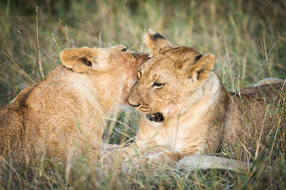 20130913_Kenya_0026-4