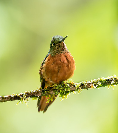 20150110_Ecuador_0011
