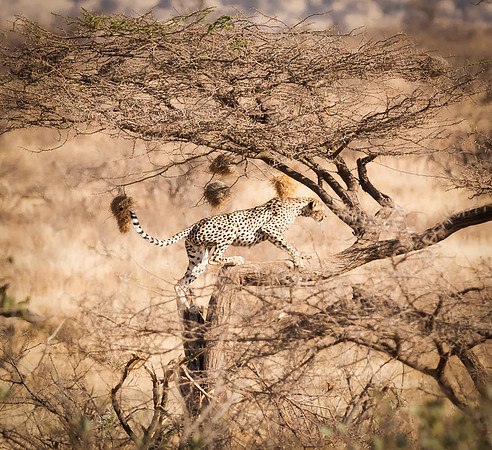 20130909_Kenya_0009