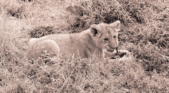 20130919_Kenya_0049
