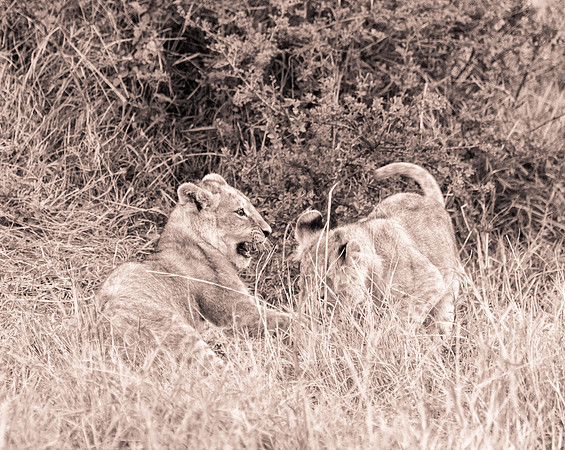20130919_Kenya_0070
