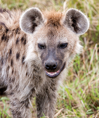 20130918_Kenya_0014