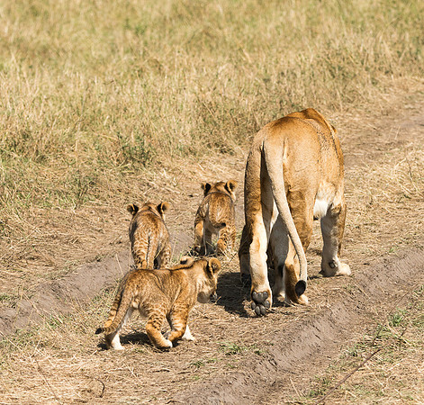 20130916_Kenya_0019