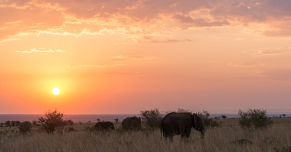 20130915_Kenya_0017