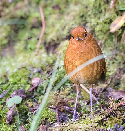 20150105_Ecuador_0009