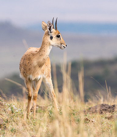 20130919_Kenya_0001-3