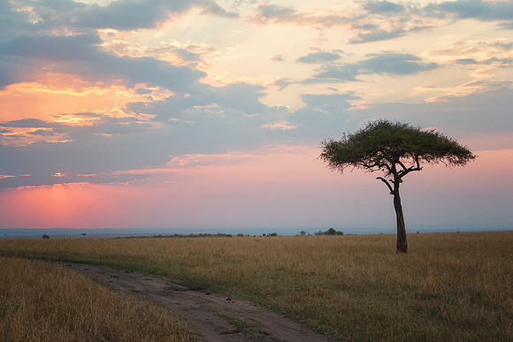 20130916_Kenya_0054
