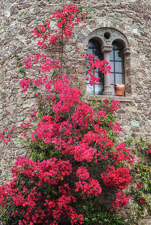 20140624_France_0048
