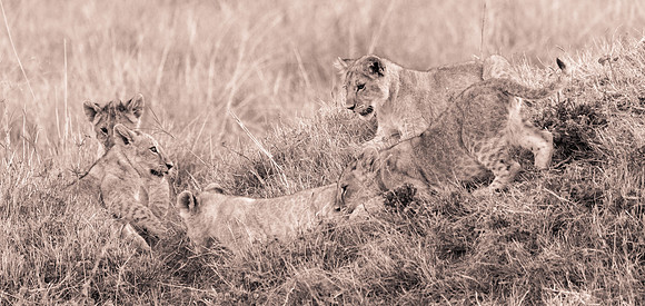 20130919_Kenya_0075