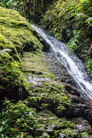 20150108_Ecuador_0001