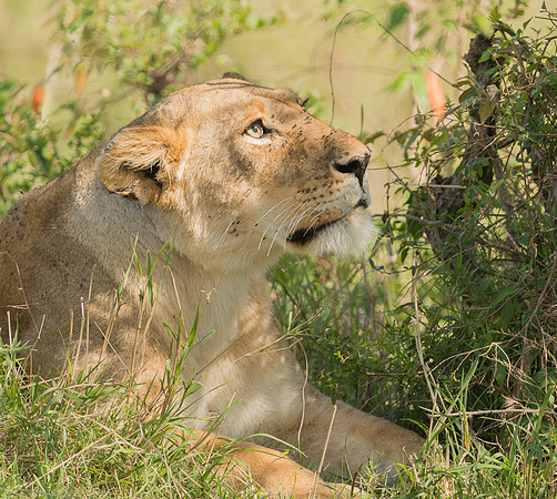 20130916_Kenya_0026