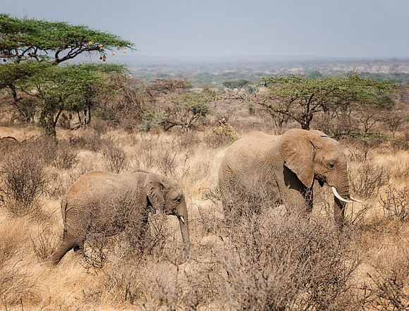 20130908_Kenya_0006