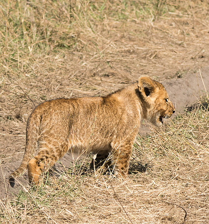 20130916_Kenya_0018