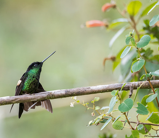 20150105_Ecuador_0001