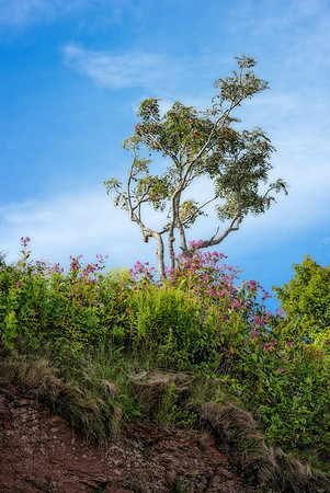 20140818_France_0013