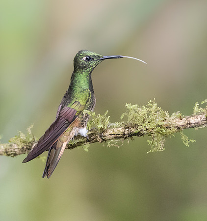 20150105_Ecuador_0001