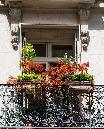 20140616_France_0031