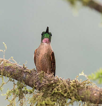 20150105_Ecuador_0023