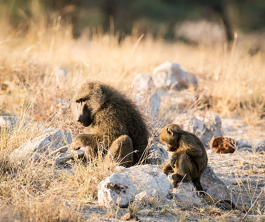 20130909_Kenya_0006