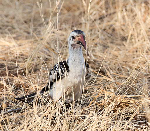 20130908_Kenya_0003-2